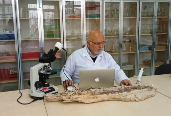 XRF analysis was done on the pieces of clay vessels found in the Myntobe cemetery